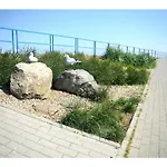 Goscinne & Przemyk * Rewa