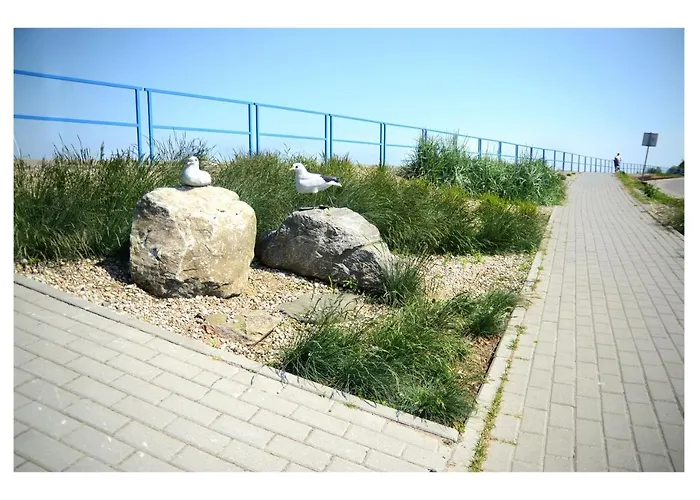 Goscinne & Przemyk * ريوا